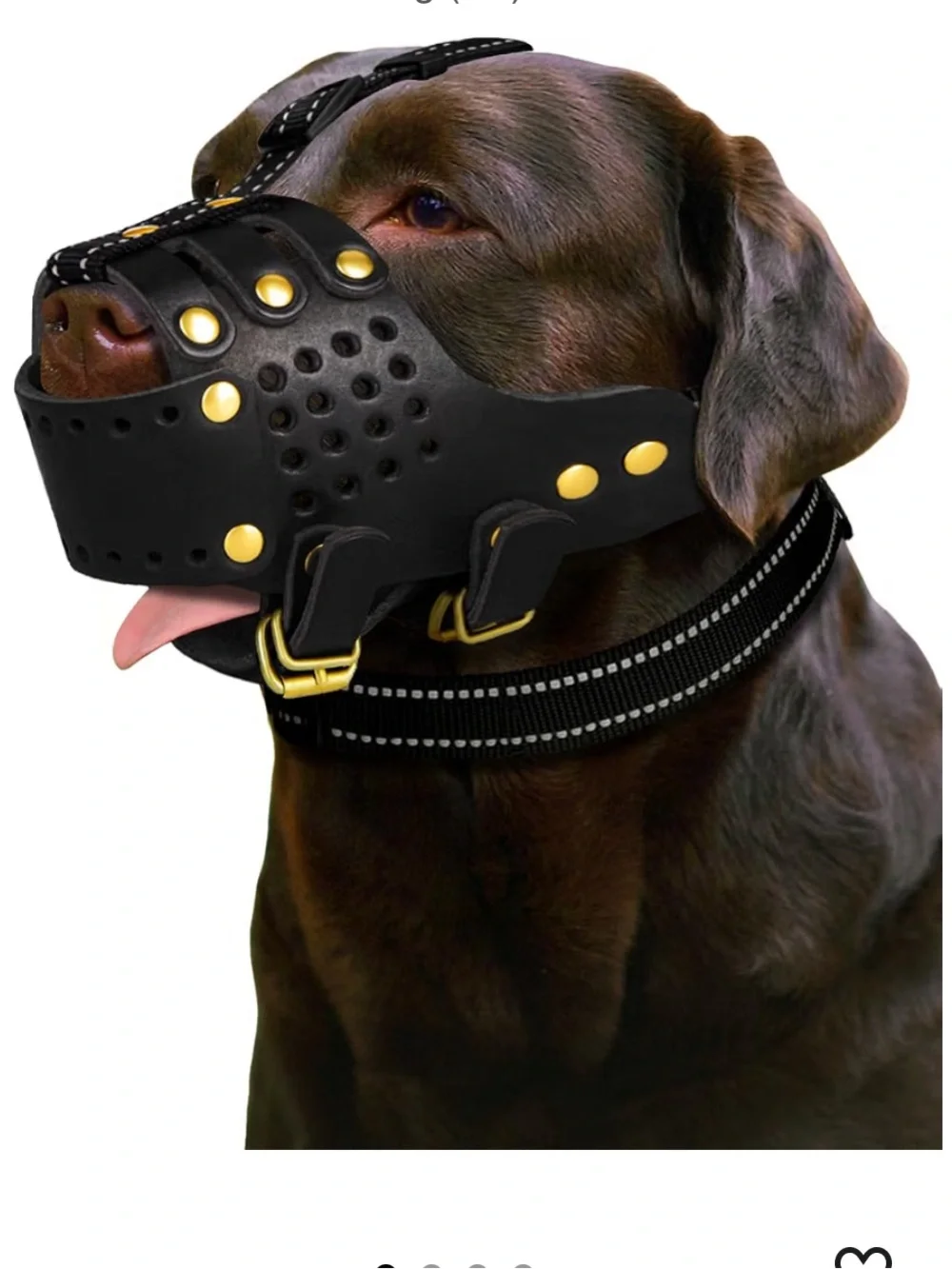 Black Leather Basket Dog Muzzle with Gold Rivets and Buckles